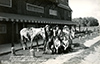Postcards - 1950's: Gay El Rancho Horseback Riding - Mid 1950's